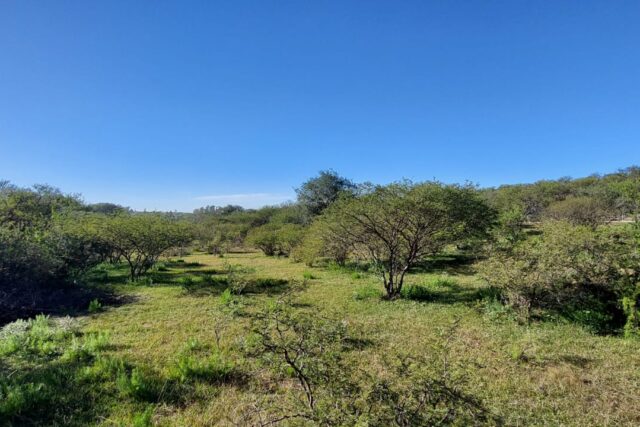 Lotes en venta en Valle Buena Esperanza, Alta Gracia